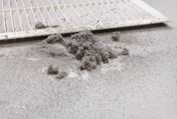Home Air Vent Cleaning in Ortonville, MI