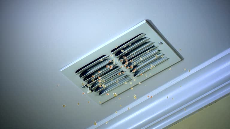 Best HVAC System Cleaning  in Ortonville, MI
