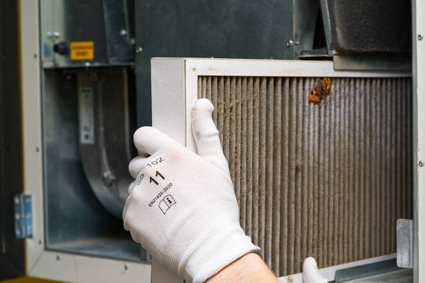 Best Affordable Duct Cleaning Services  in Ortonville, MI