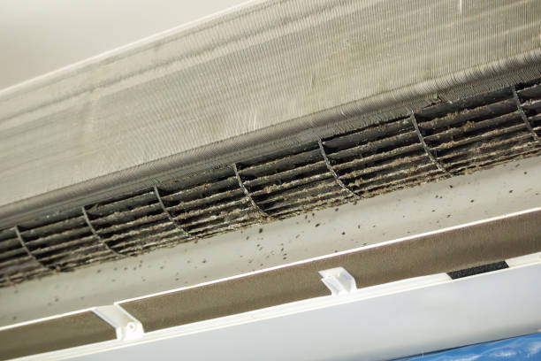 Best Best Air Duct Cleaning Company  in Ortonville, MI